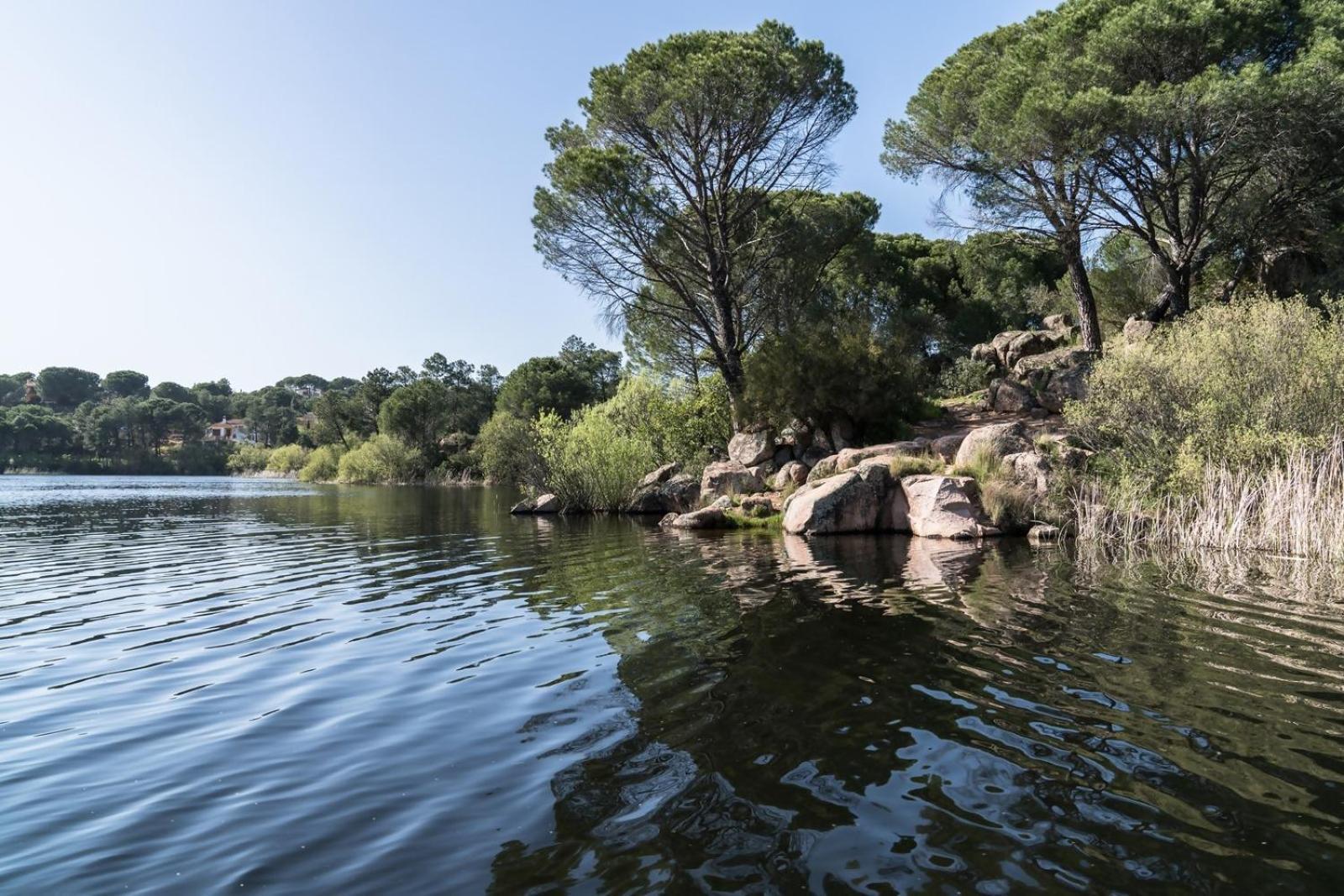 Casa El Lago Alojamiento Rural Las Jaras Eksteriør billede